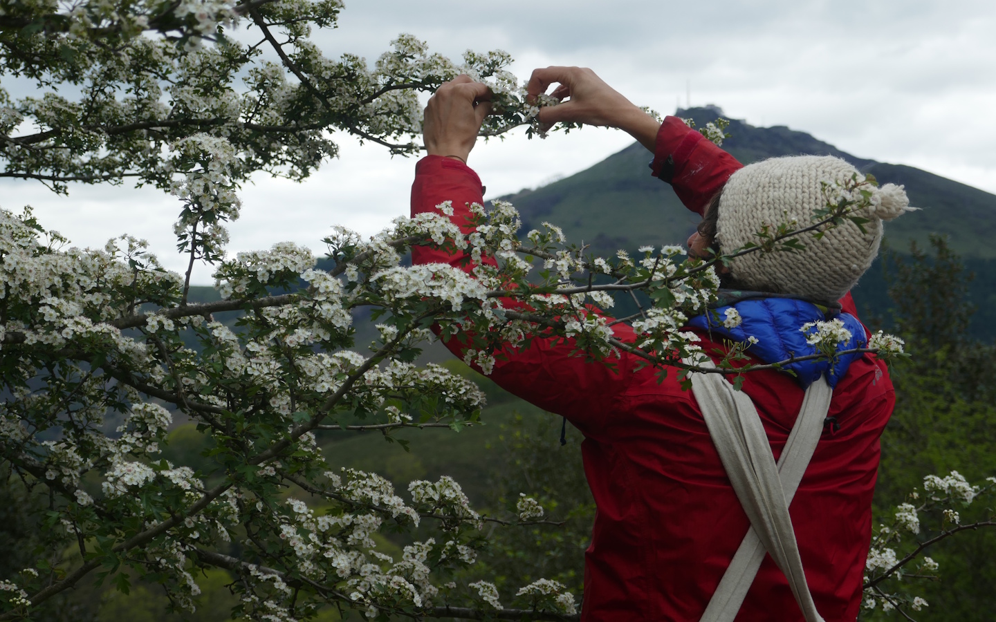 Ferme Kimuak — Producteurs & Artisans à Pays Basque