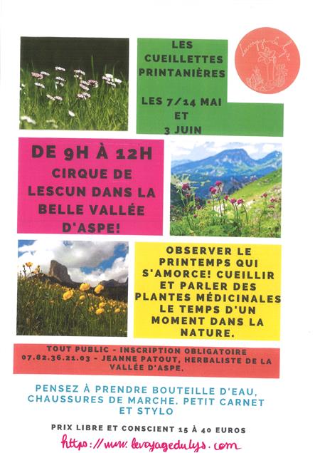 Les cueillettes printanières avec le voyage du Lys Les cueillettes printanières avec le voyage du Lys