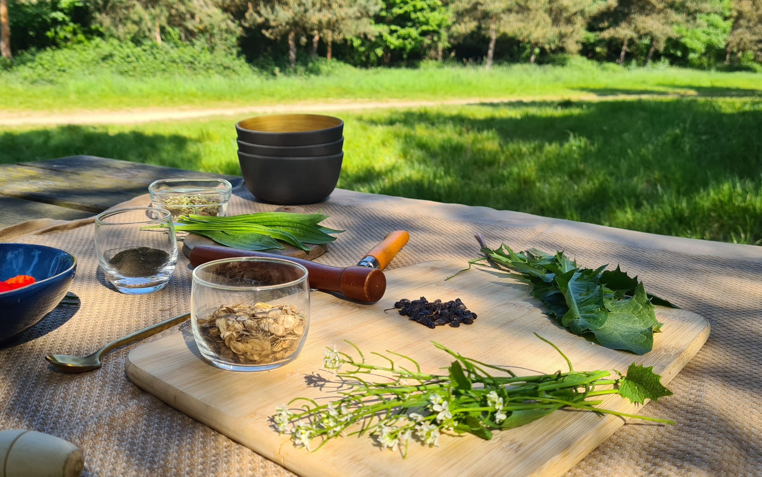 Atelier cuisine des plantes sauvage — visuel événement