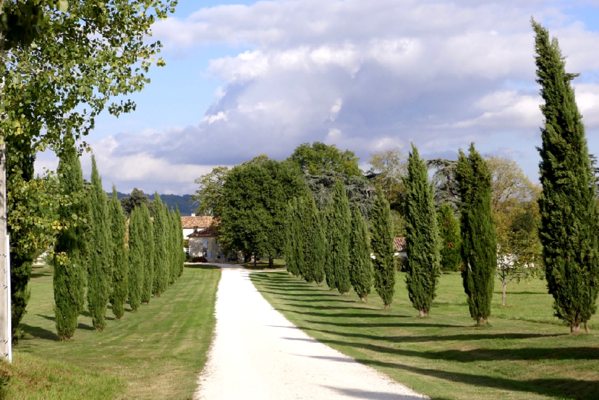 Demeure de Pécarrère, Buzet-sur-Baïse - photo 5