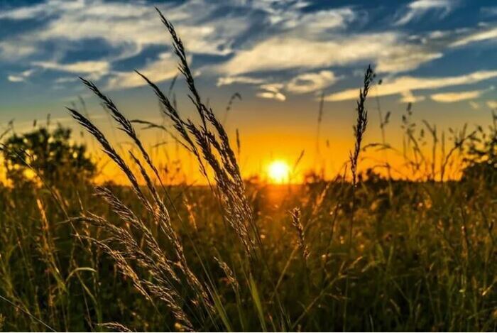 Balade au coucher du soleil à Naintré