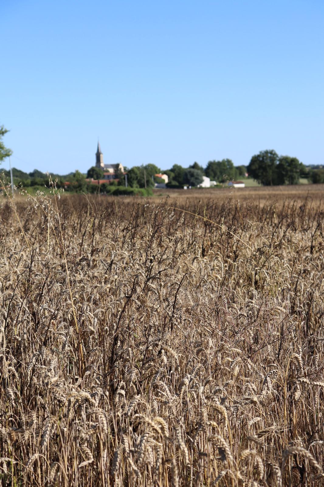 Gîte Chez Papy, Combrand - photo 12