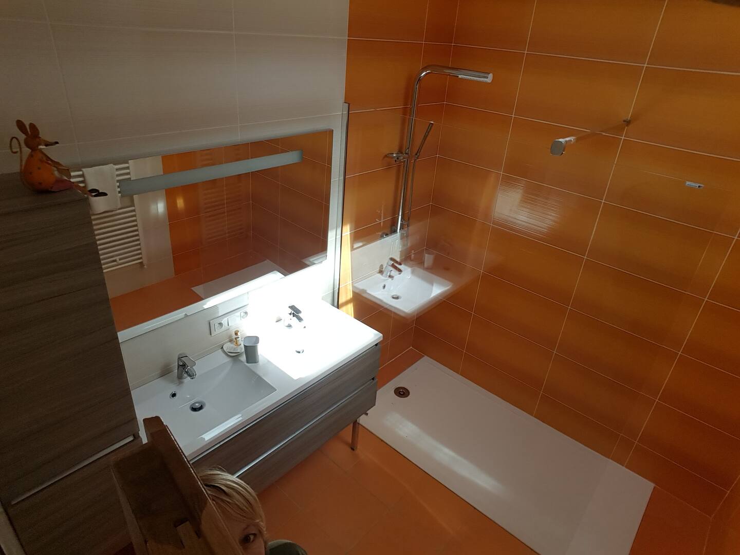 Gîte Jeanatou, Grateloup-Saint-Gayrand - photo 3