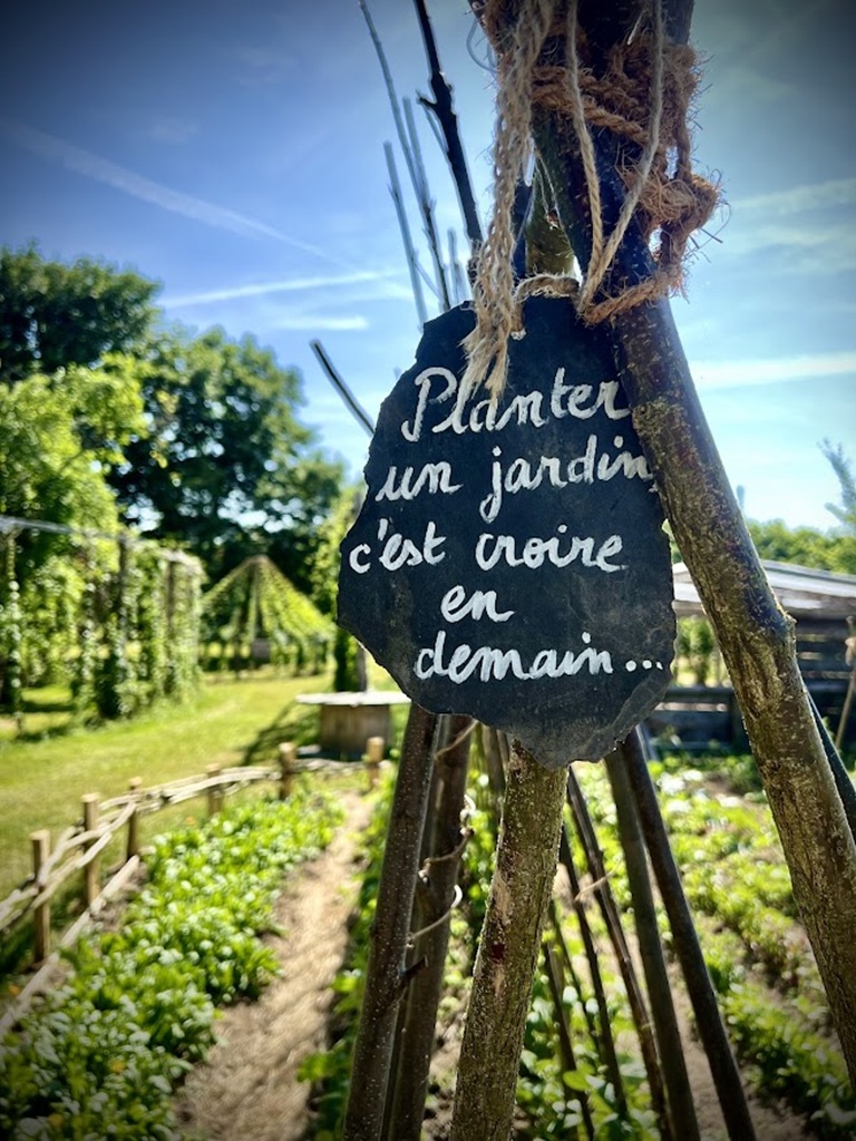 La Dame Liane