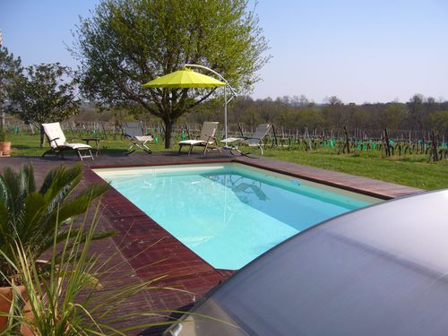 Le gîte Les Vignes de Michelet, Buzet-sur-Baïse - photo 13