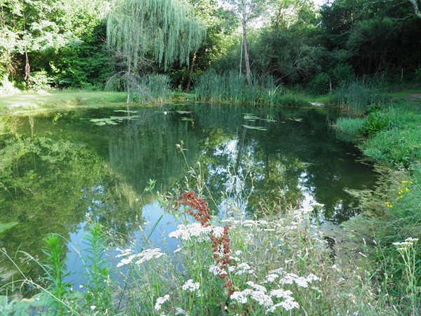 Chambres d'hôtes du Grué, Réaup-Lisse - photo 31