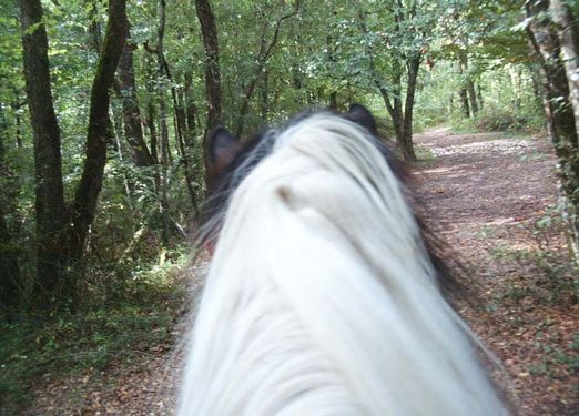 Le gîte Pantaléon, Pinel-Hauterive - photo 13