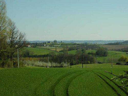 Le gîte Pantaléon, Pinel-Hauterive - photo 6