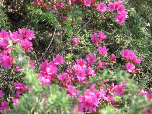 Le gîte Pantaléon, Pinel-Hauterive - photo 17