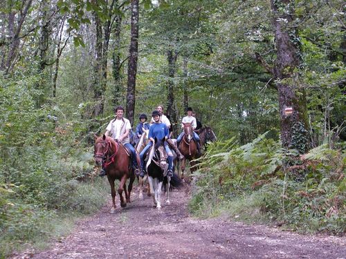 Le gîte Pantaléon, Pinel-Hauterive - photo 8
