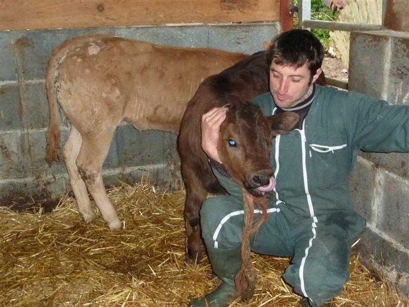 Rendez-vous à la ferme