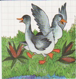 GAEC L'Oisonnière - photo 3