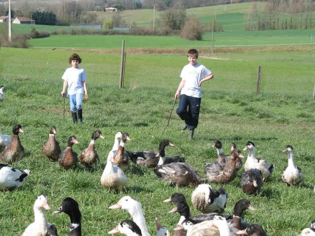 GAEC L'Oisonnière - photo 2