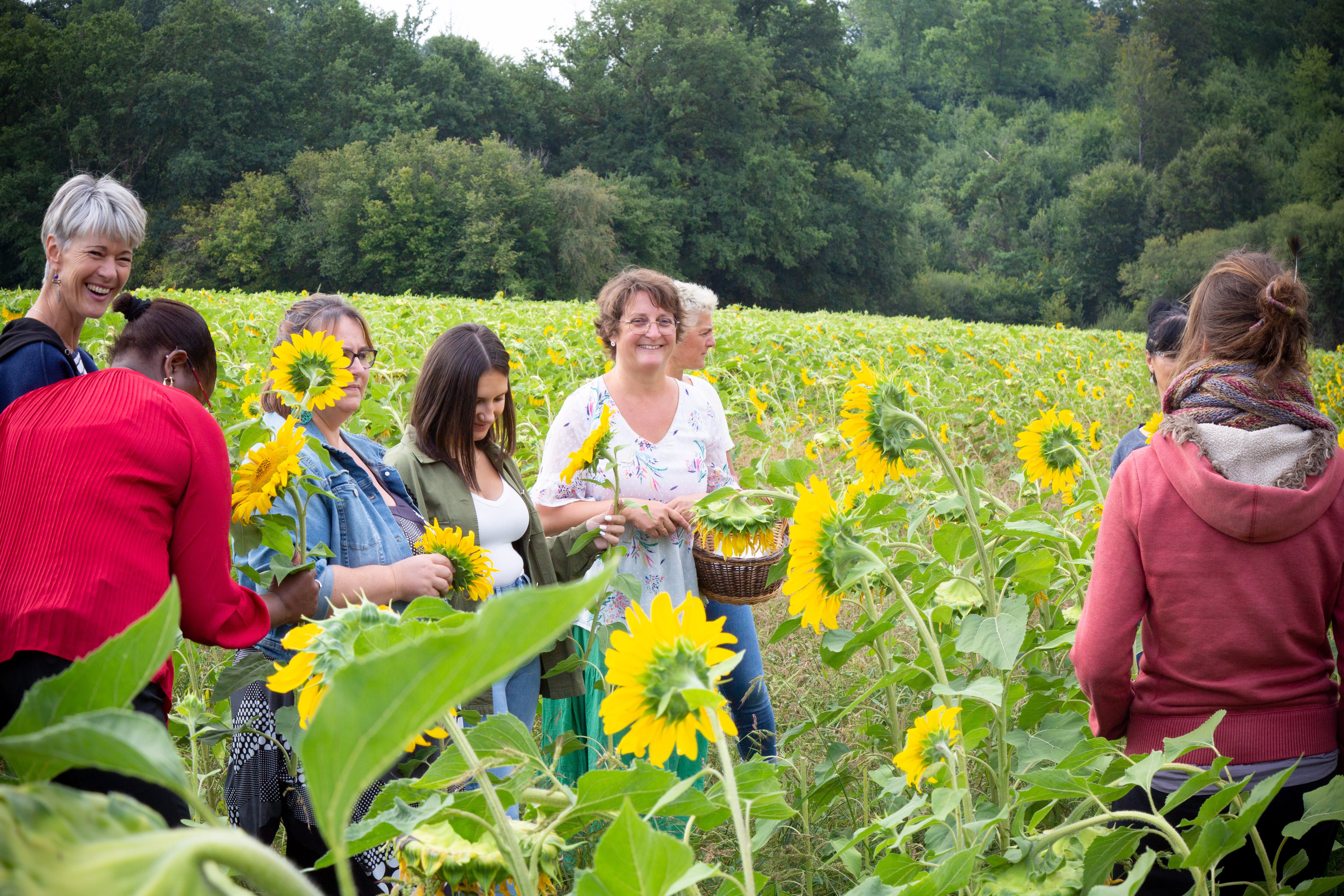 Visite et Atelier : Découvrez les plantes médicinales et fabriquez votre savon, Saint-Genest-sur-Roselle