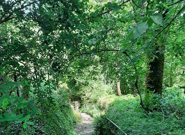 Grotte de Lastournelle, Sainte-Colombe-de-Villeneuve