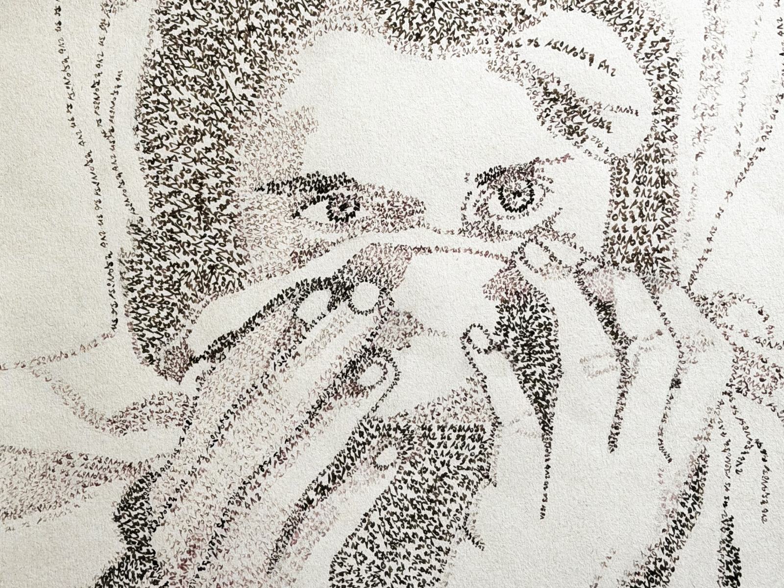 Dessine ta plume