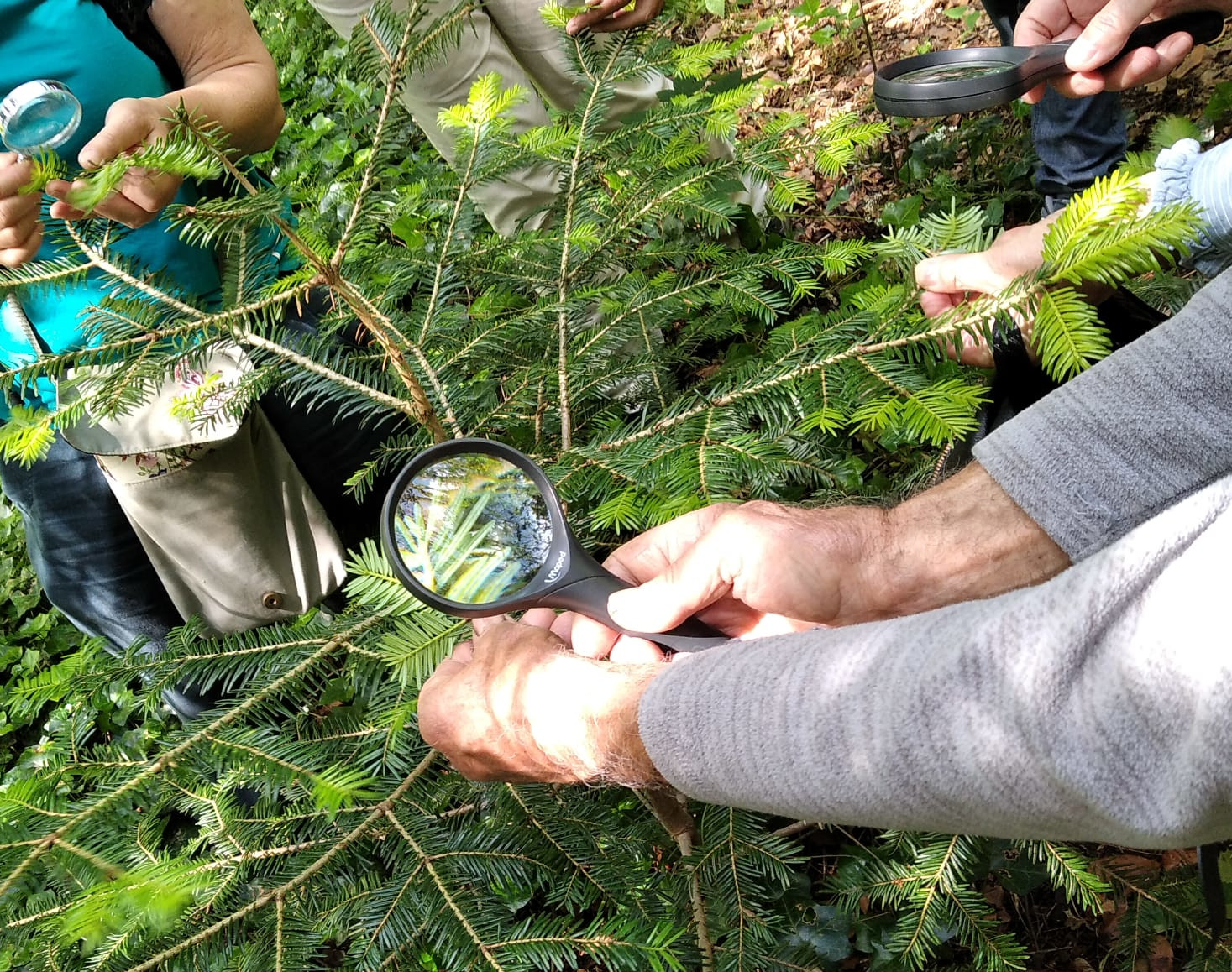 Détective en herbe, Île de Vassivière