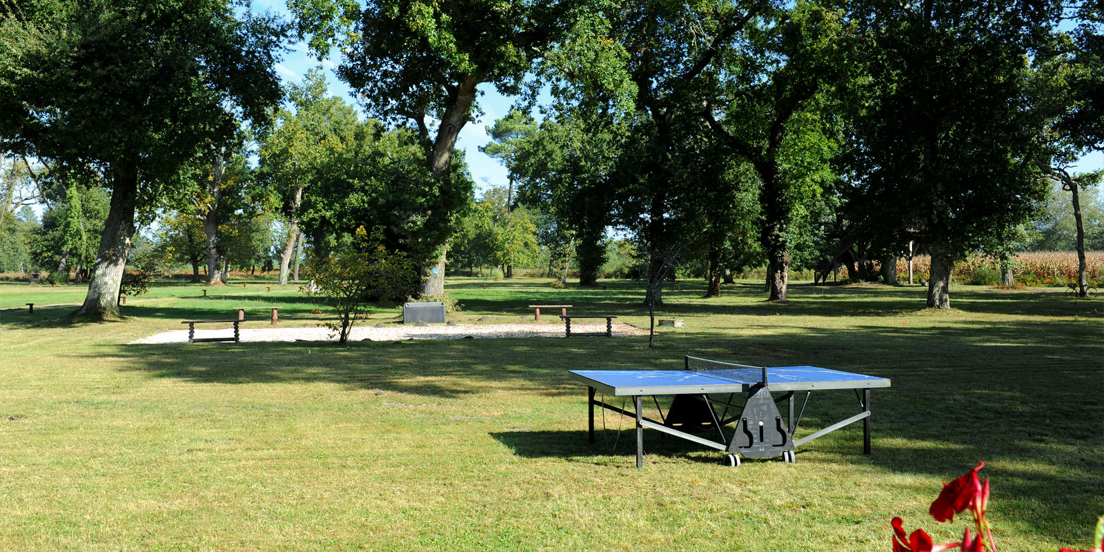 Airial Fabian - Les Cabanes Perchées dans les Landes, Rion-des-Landes - photo 11