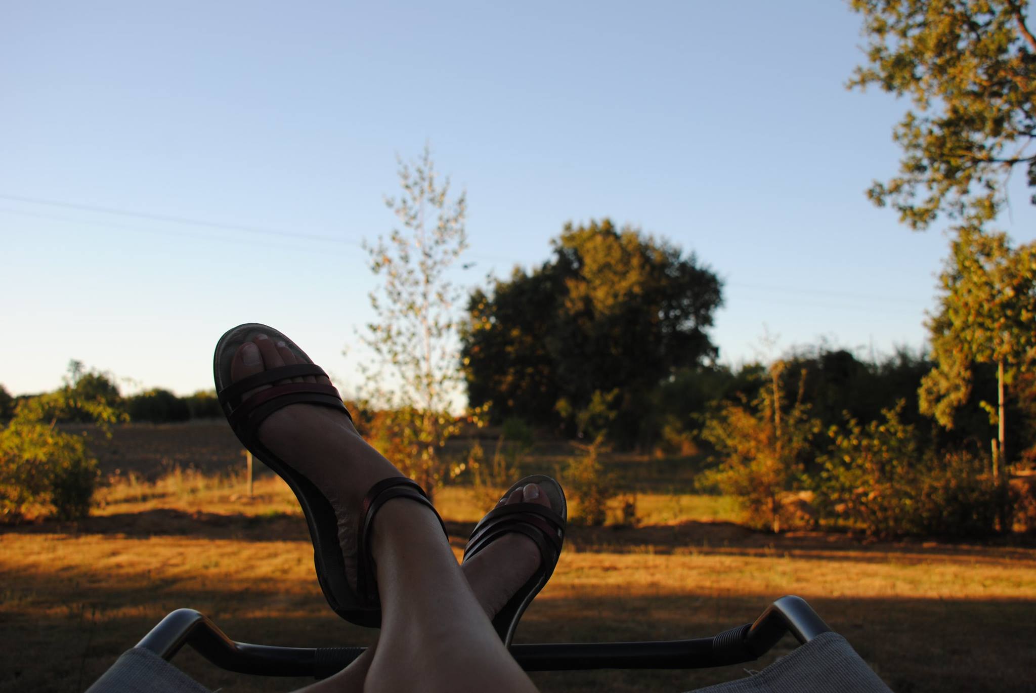 La Cabane, Montmorillon - photo 4