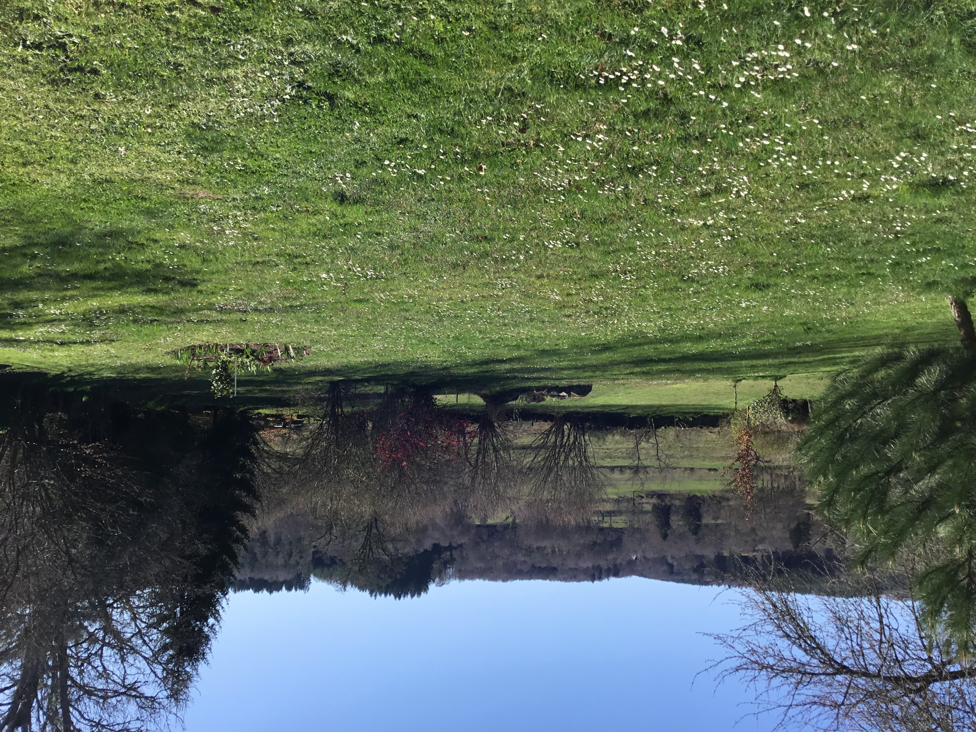 Location Madame Sauty, Saint-Agnant-près-Crocq - photo 7