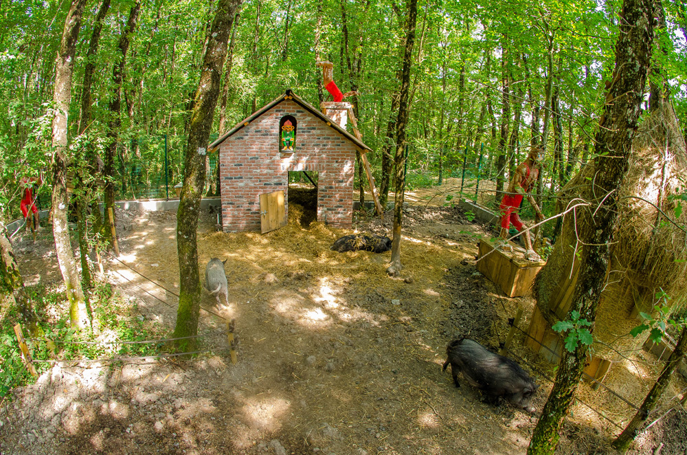 Domaine de Dienné, Dienné - photo 6