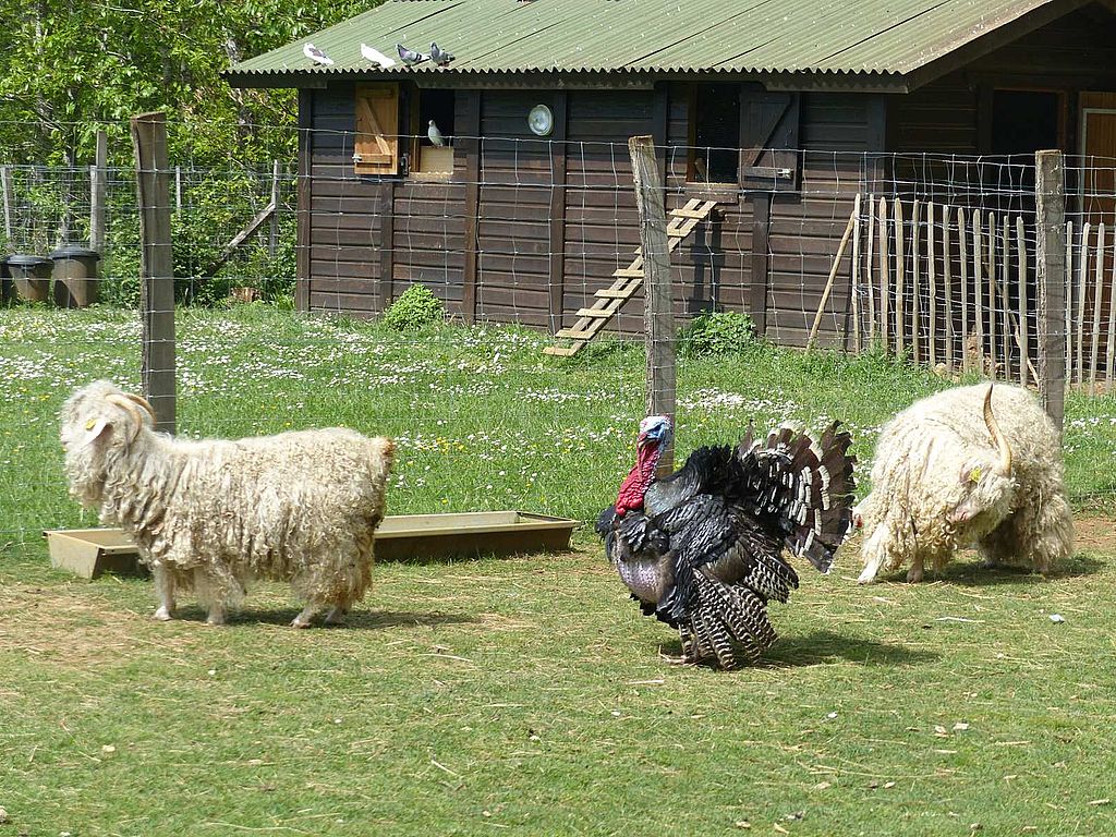 Mielys Sphère, Val de Louyre et Caudeau - photo 2