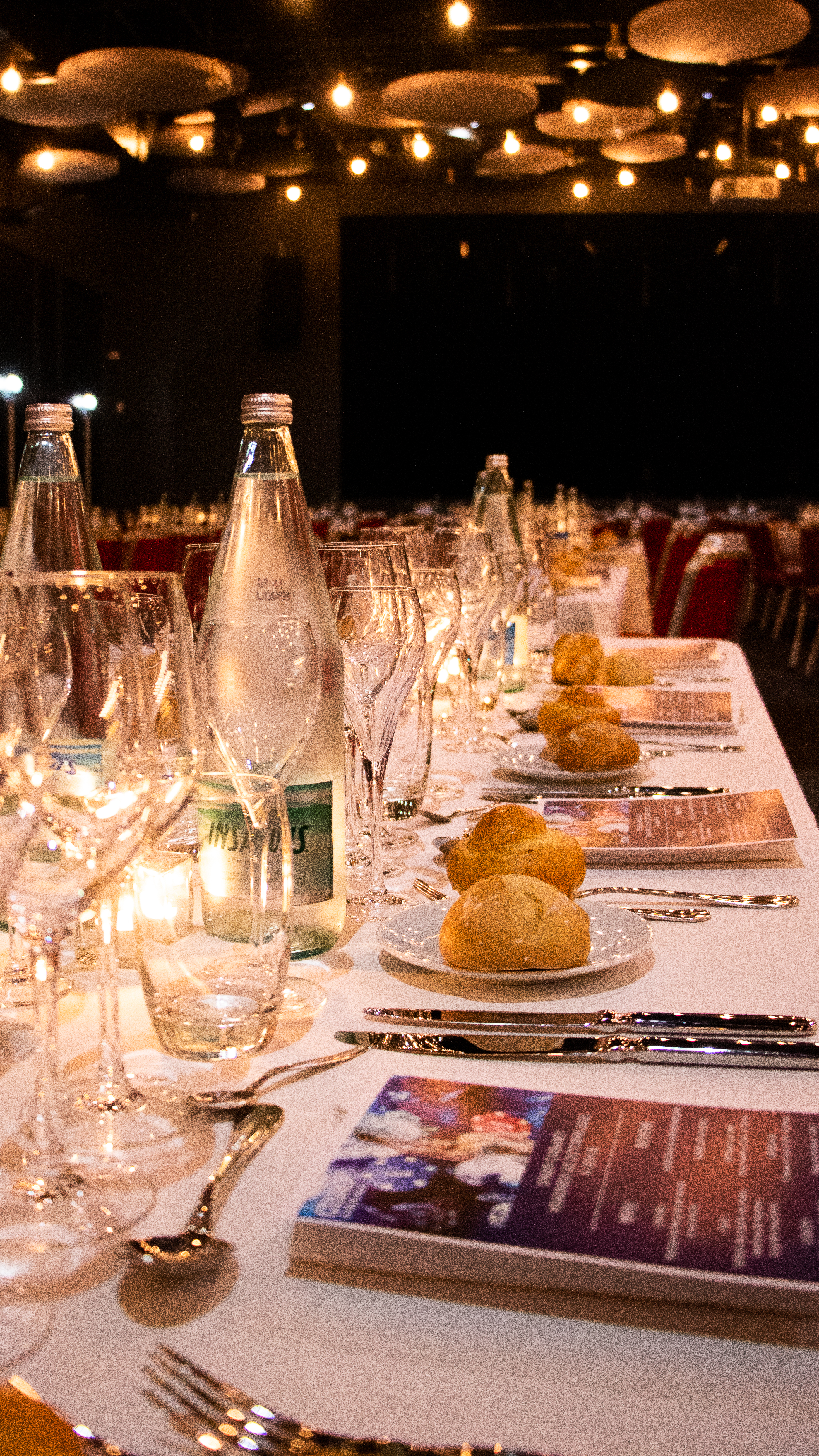 Repas Spectacle Cabaret à partir du 1er novembre 2025, La Roche-Posay - photo 2