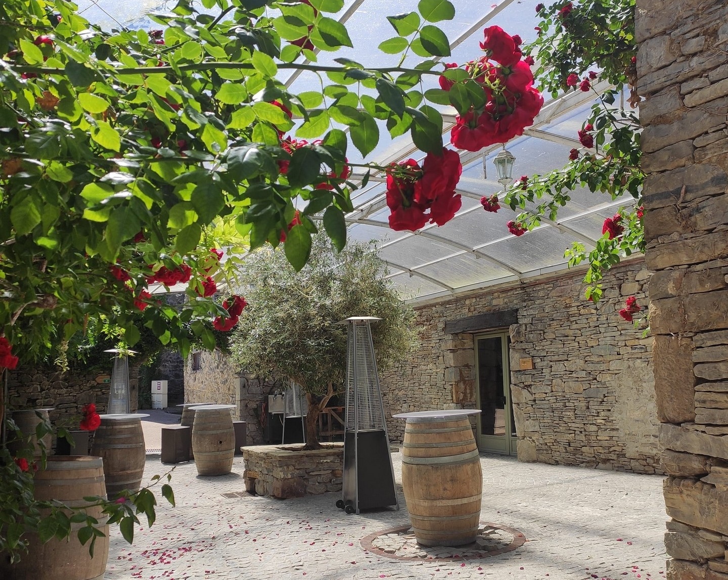 Domaine de Lucain — photo 2