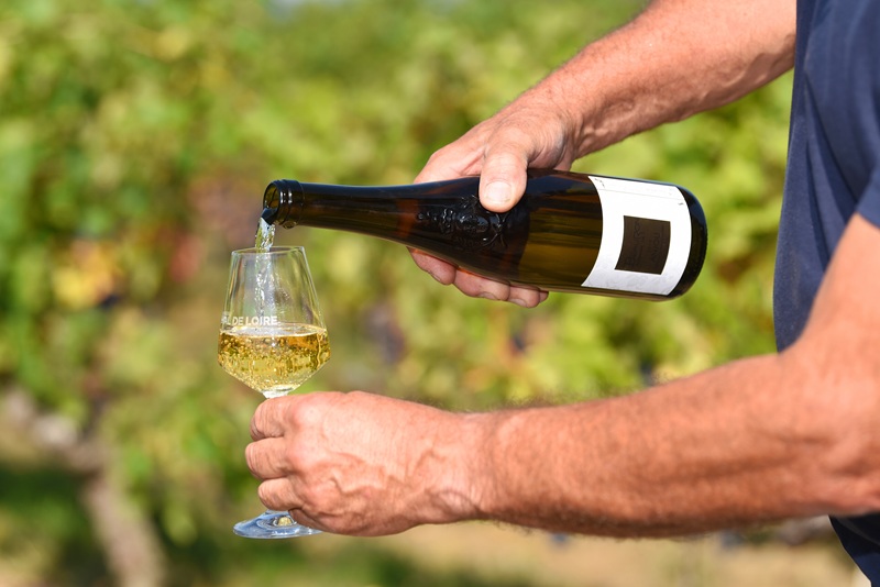 Domaine de Beauron