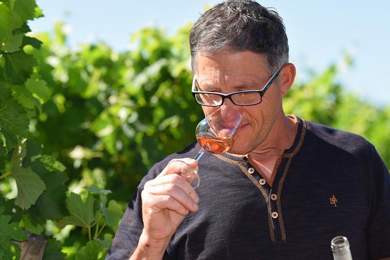 Domaine du Rueau - photo 5