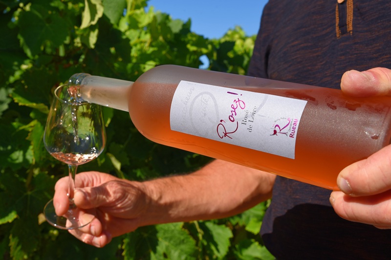 Domaine du Rueau - photo 4