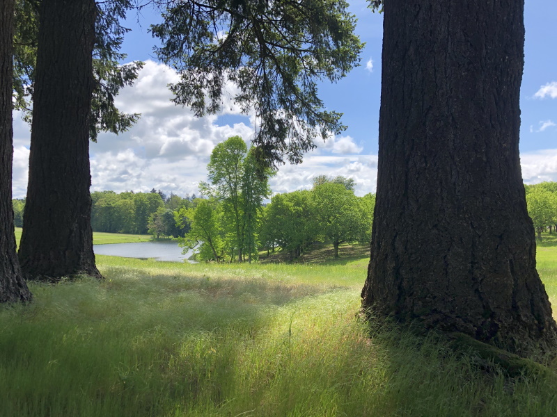 Visite guidée - Domaine de Bort, château et parc, Saint-Priest-Taurion - photo 3