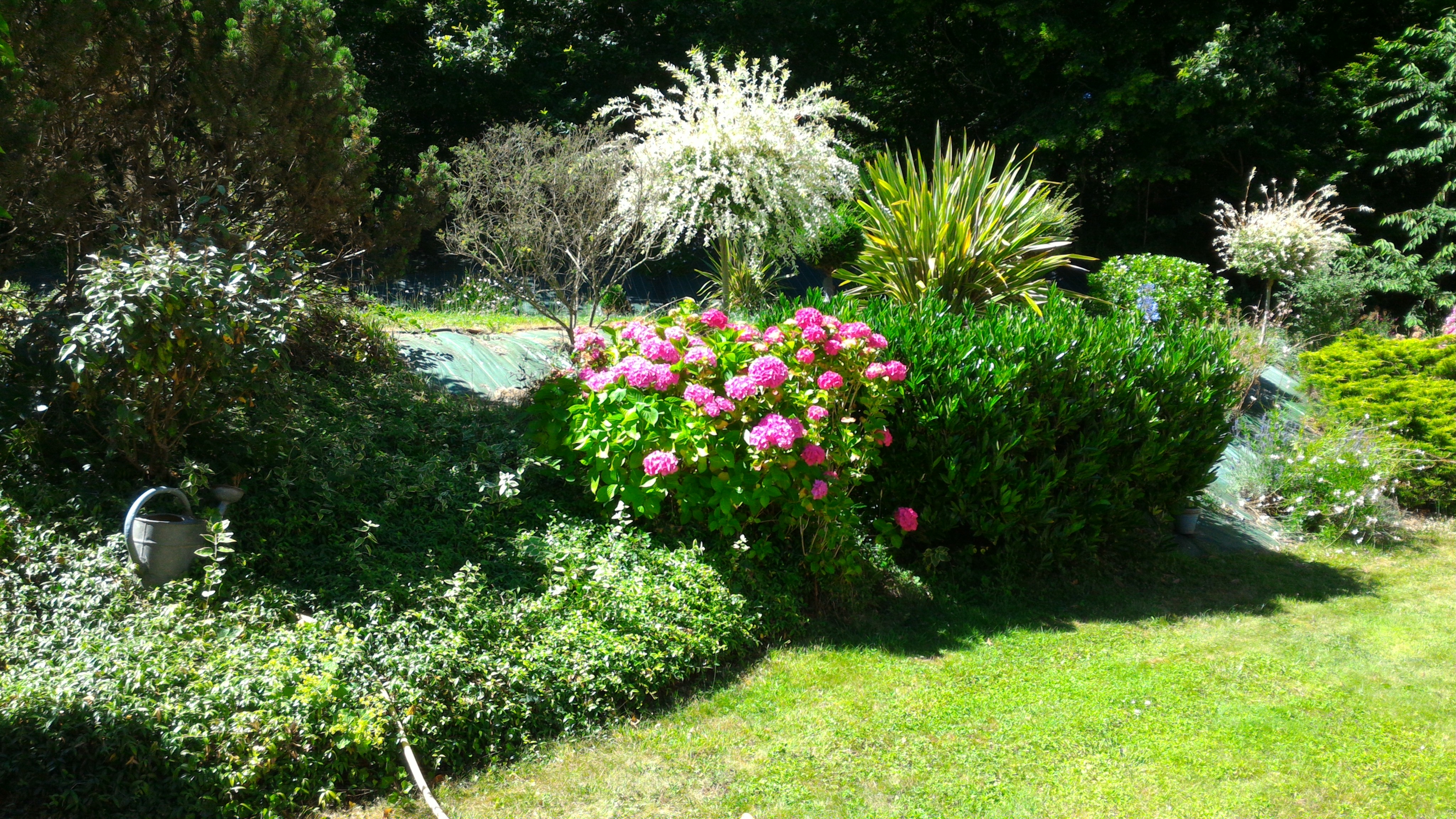 Domaine de la Cadoue, Marçay - photo 9