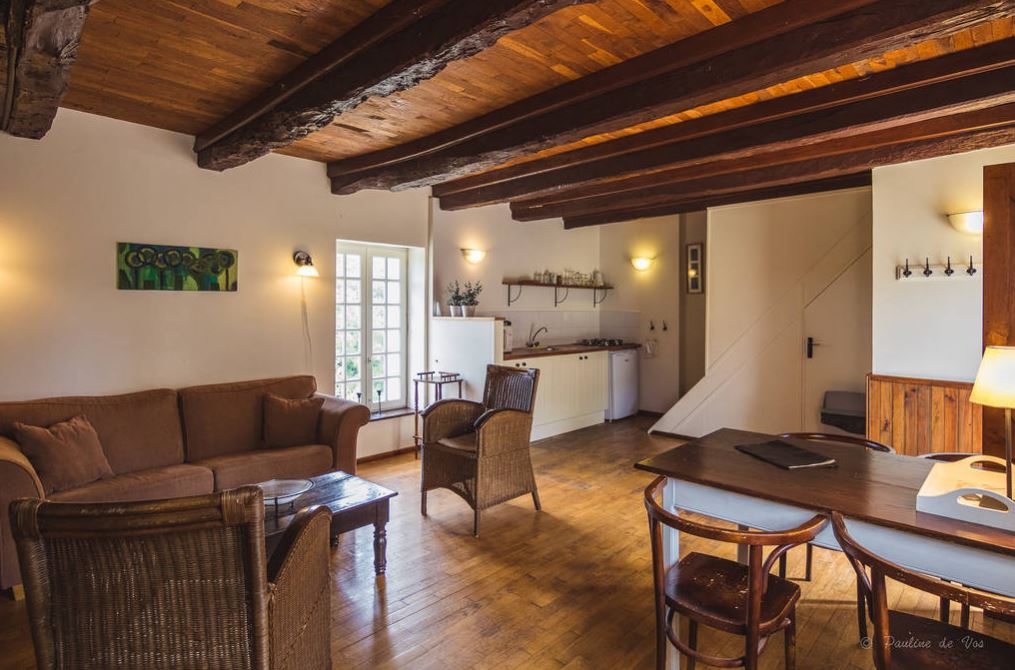 Domaine Leyvinie, Perpezac-le-Blanc - photo 8