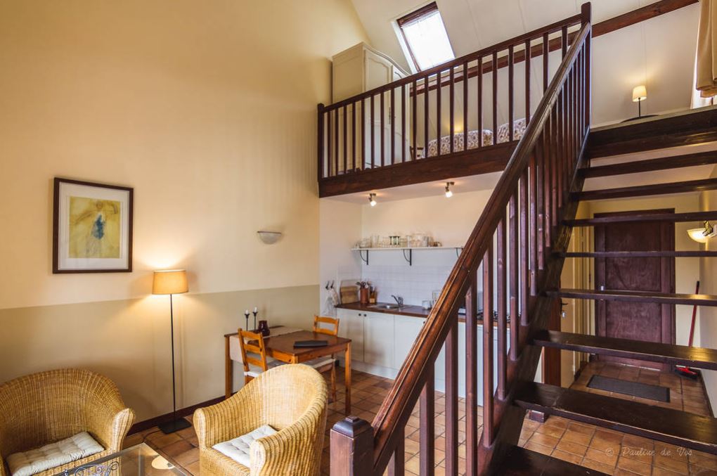 Domaine Leyvinie, Perpezac-le-Blanc - photo 6