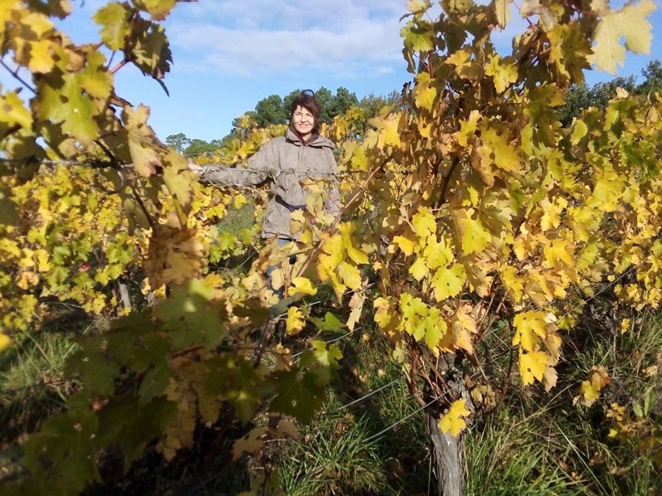 Domaine de Pichon - photo 2