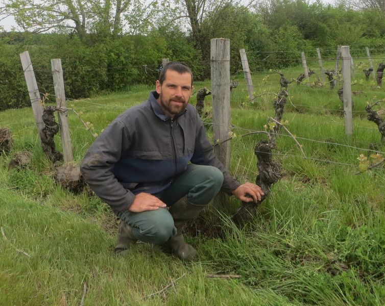 Domaine des Trois Saules