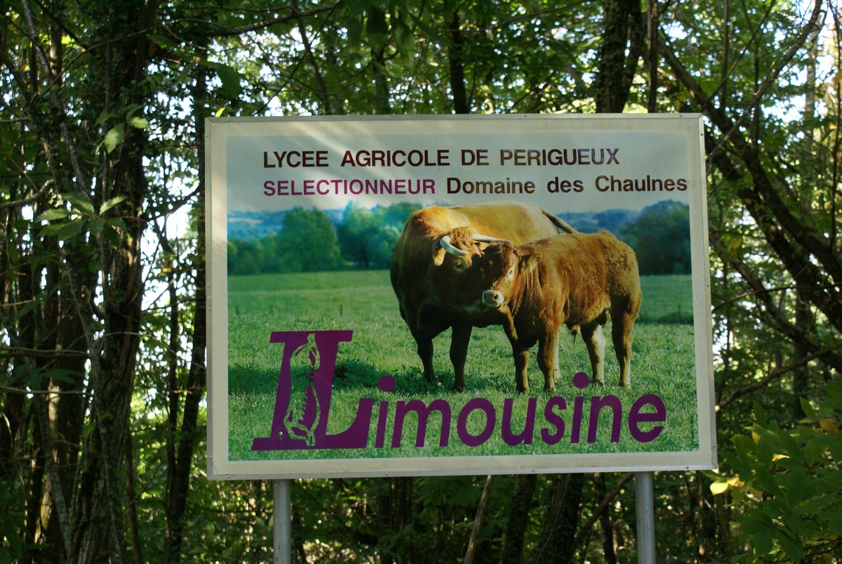 Ferme pédagogique du Domaine des Chaulnes, Grignols - photo 6
