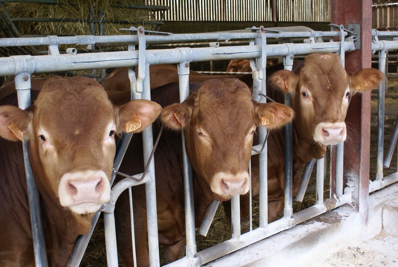 Domaine des Chaulnes - photo 5