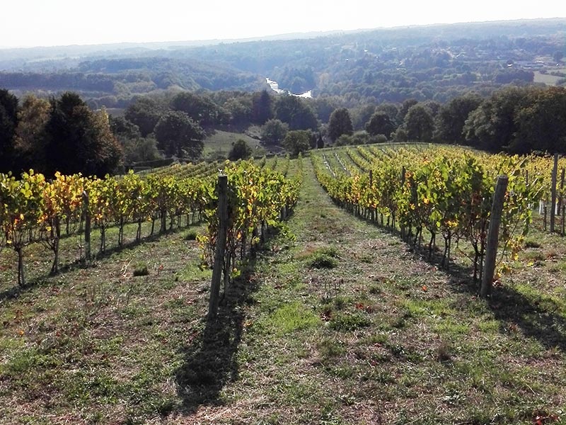 Domaine des Gabies — photo 3
