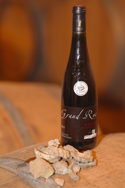 Domaine du Belvédère — photo 3