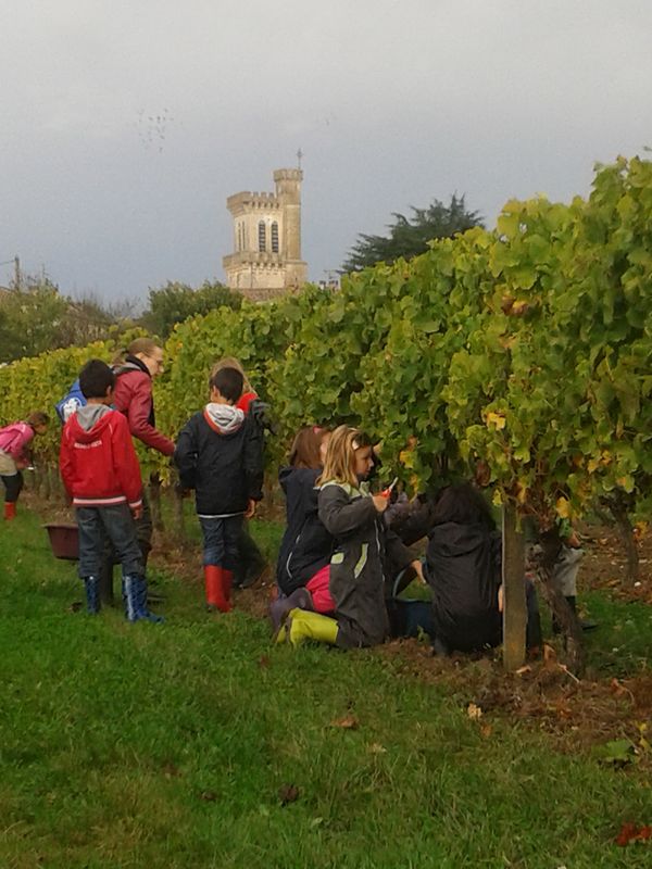 Domaine du Boyer - photo 5