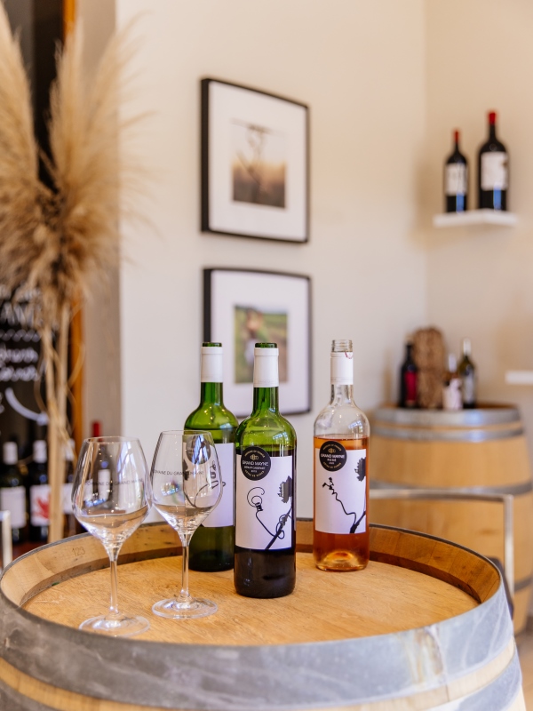 Tour du domaine et dégustation au Domaine du Grand Mayne, Villeneuve-de-Duras - photo 17