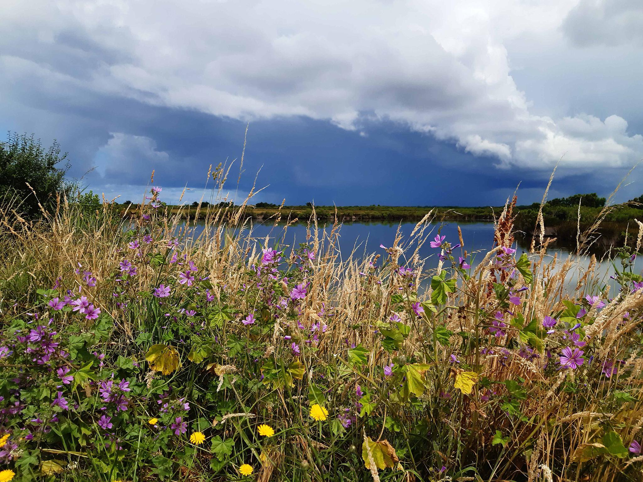 Gîte Les 2 Pins, Audenge