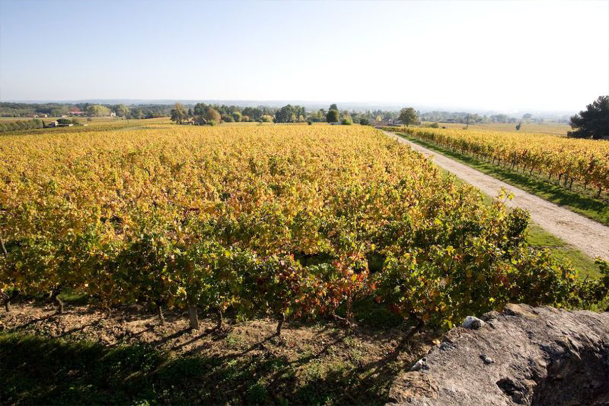 Dégustation gourmande | Domaine du Haut Pécharmant — visuel événement