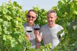 Domaine de la Gachère - GAEC Lemoine - photo 4