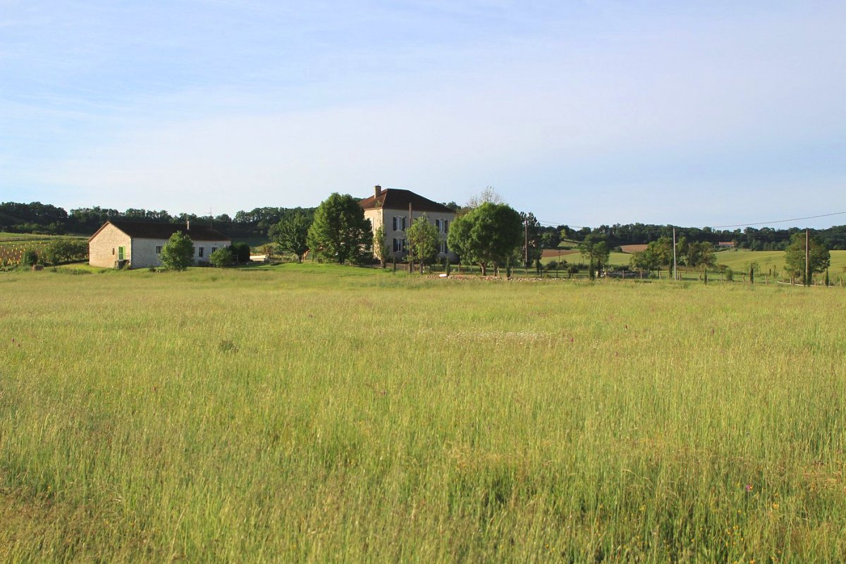 Domaine Les Courteaux - Gîte l'Ile de la Réunion, Beaugas - photo 10