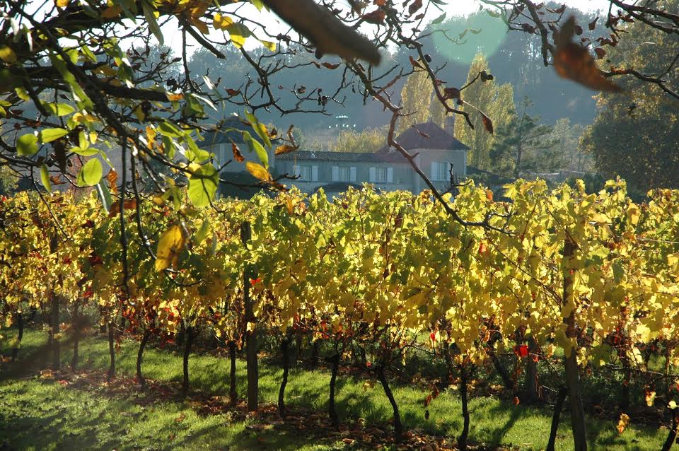 Domaine de la Queyssie, Saussignac - photo 7