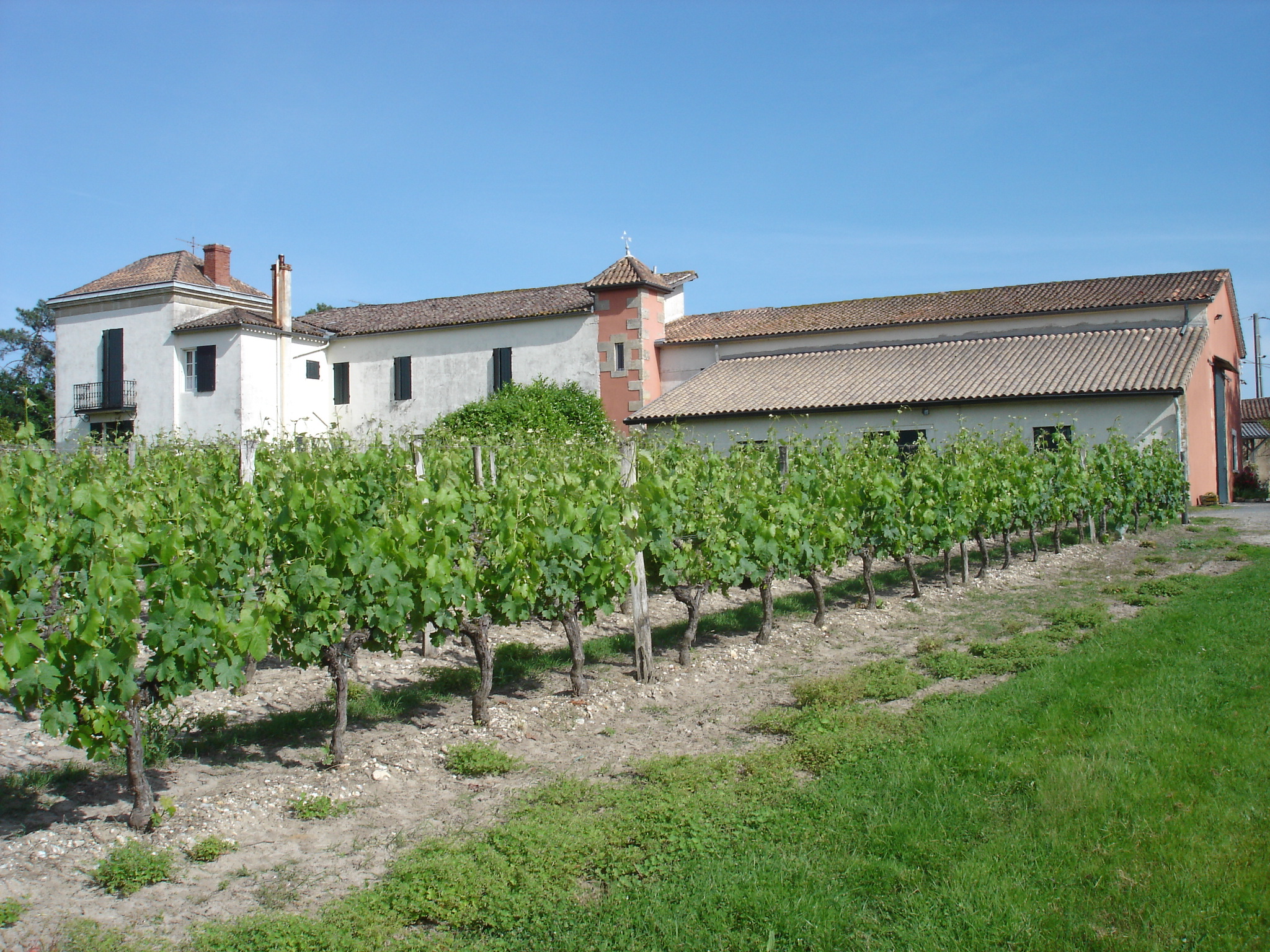 Vignobles Latrille Bonnin - photo 3
