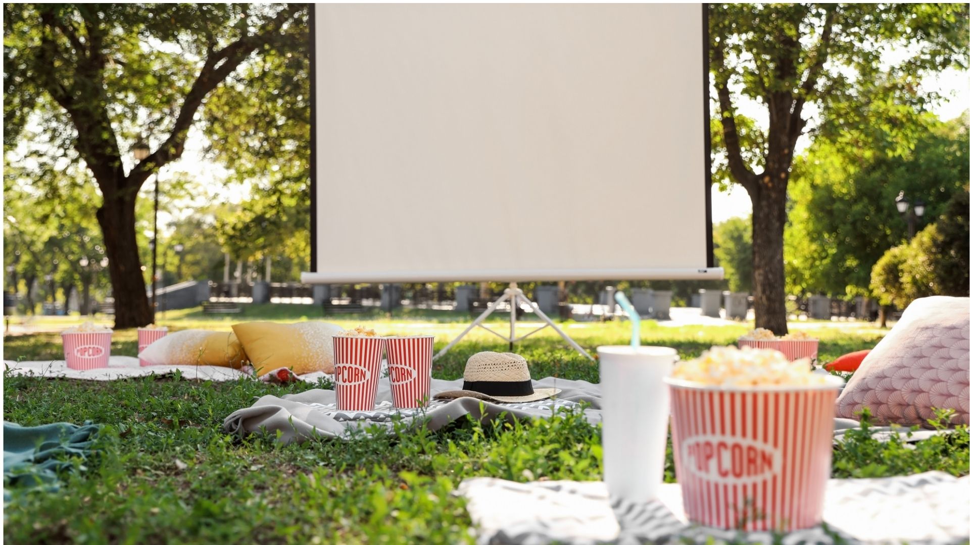 Projection en plein air : Dragons